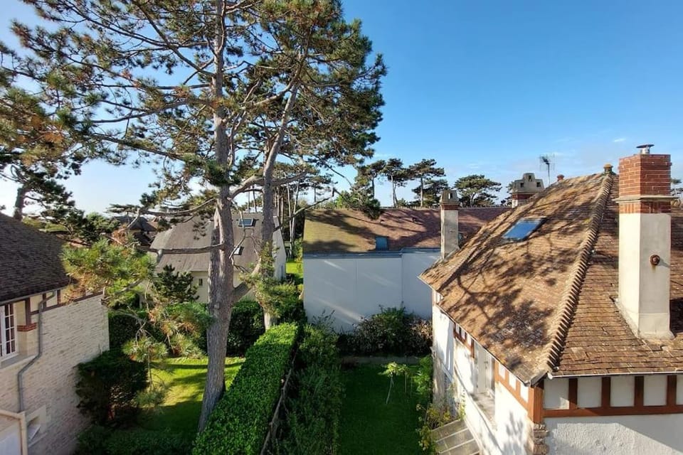 Natural landscape, Garden view
