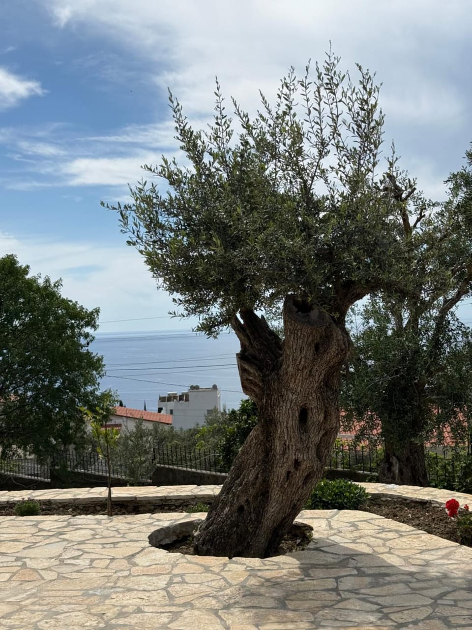 Spring, Day, Natural landscape, Garden, Garden view