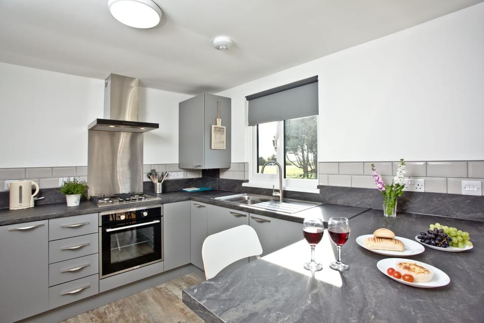 Kitchen or kitchenette, Food and drinks, Dining area, oven, pet friendly, stove
