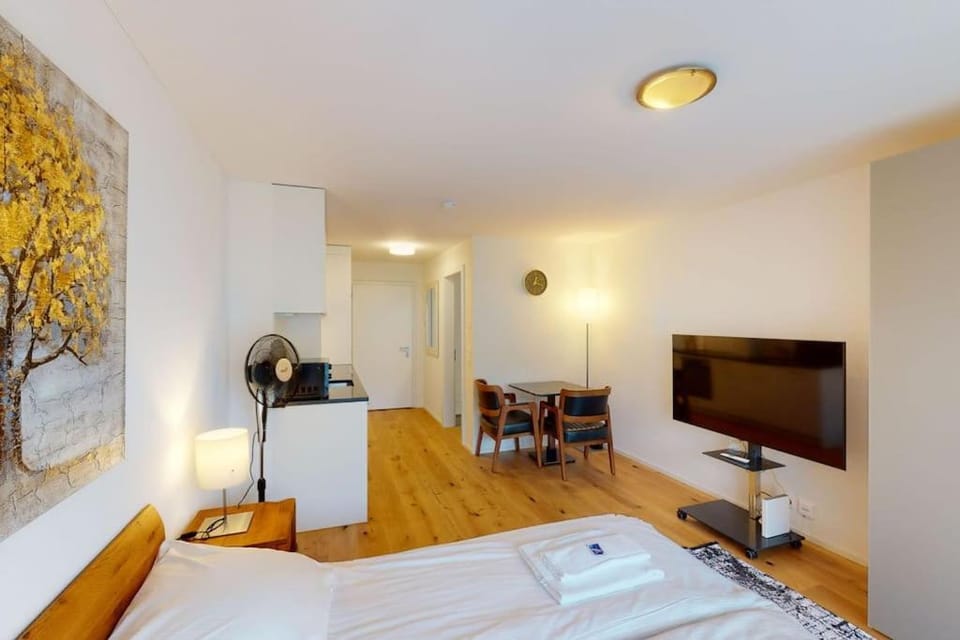Modern studio - Sun 5 Apartment in Zurich City