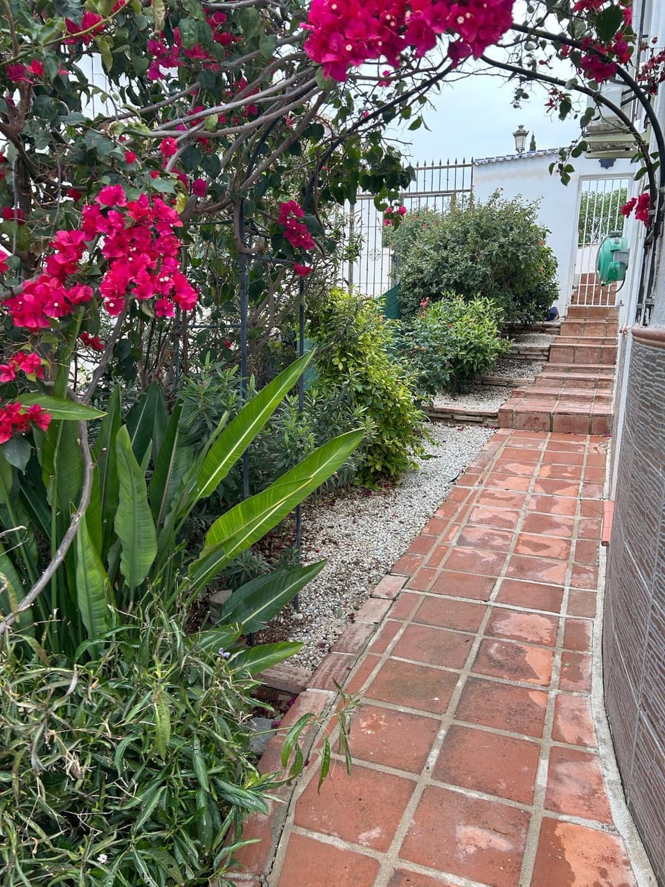 Garden, Inner courtyard view