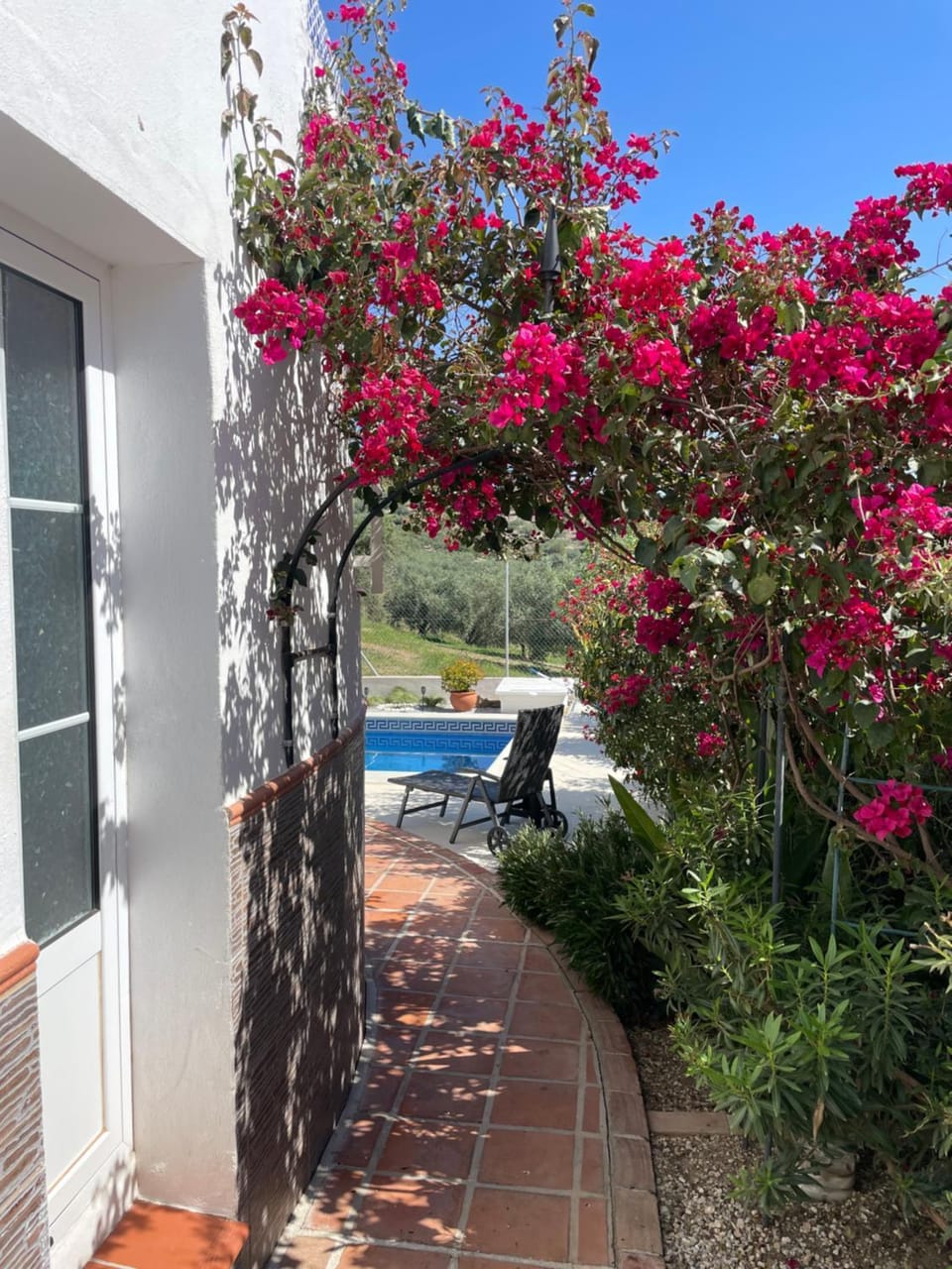 Garden, Garden, Garden view, Swimming pool, sunbed