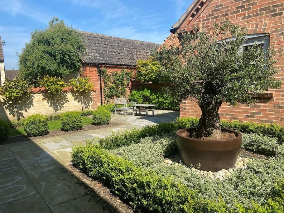 Property building, Garden, Garden view