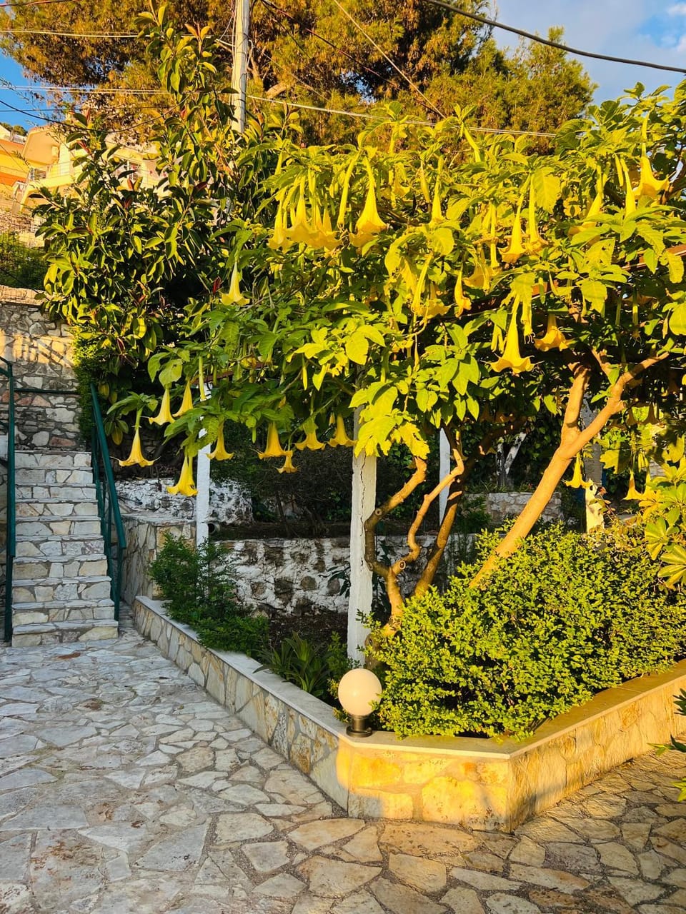 Dolce Vita Villa Villa in Sarandë