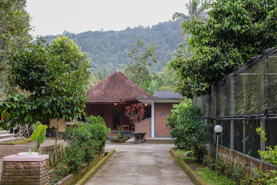 Natural landscape, Garden, Garden view