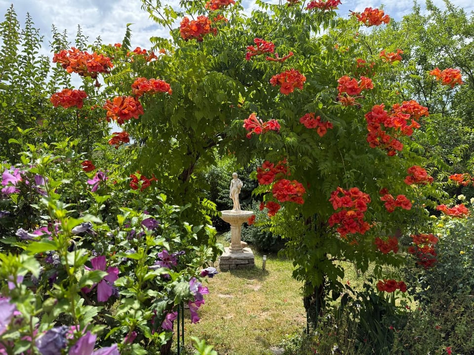 Garden, Garden view, Parking