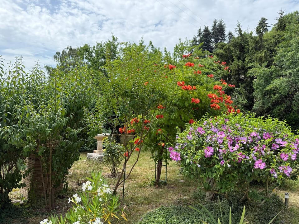 Garden, Garden view