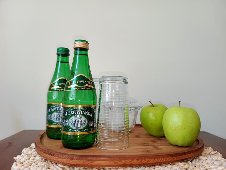 Apartament Pod Kasztanami Apartment in Lesser Poland Voivodeship