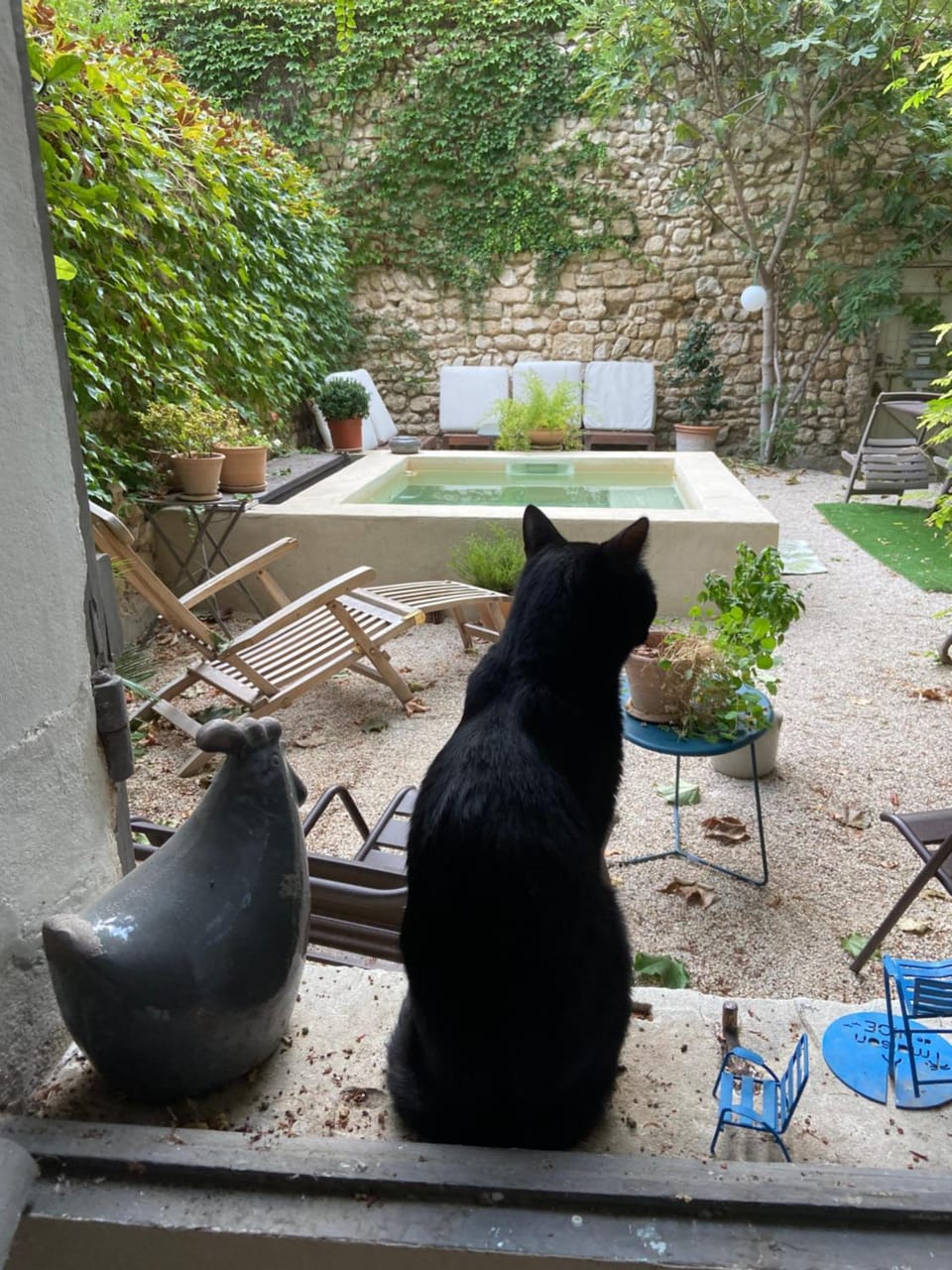 Pets, Garden view
