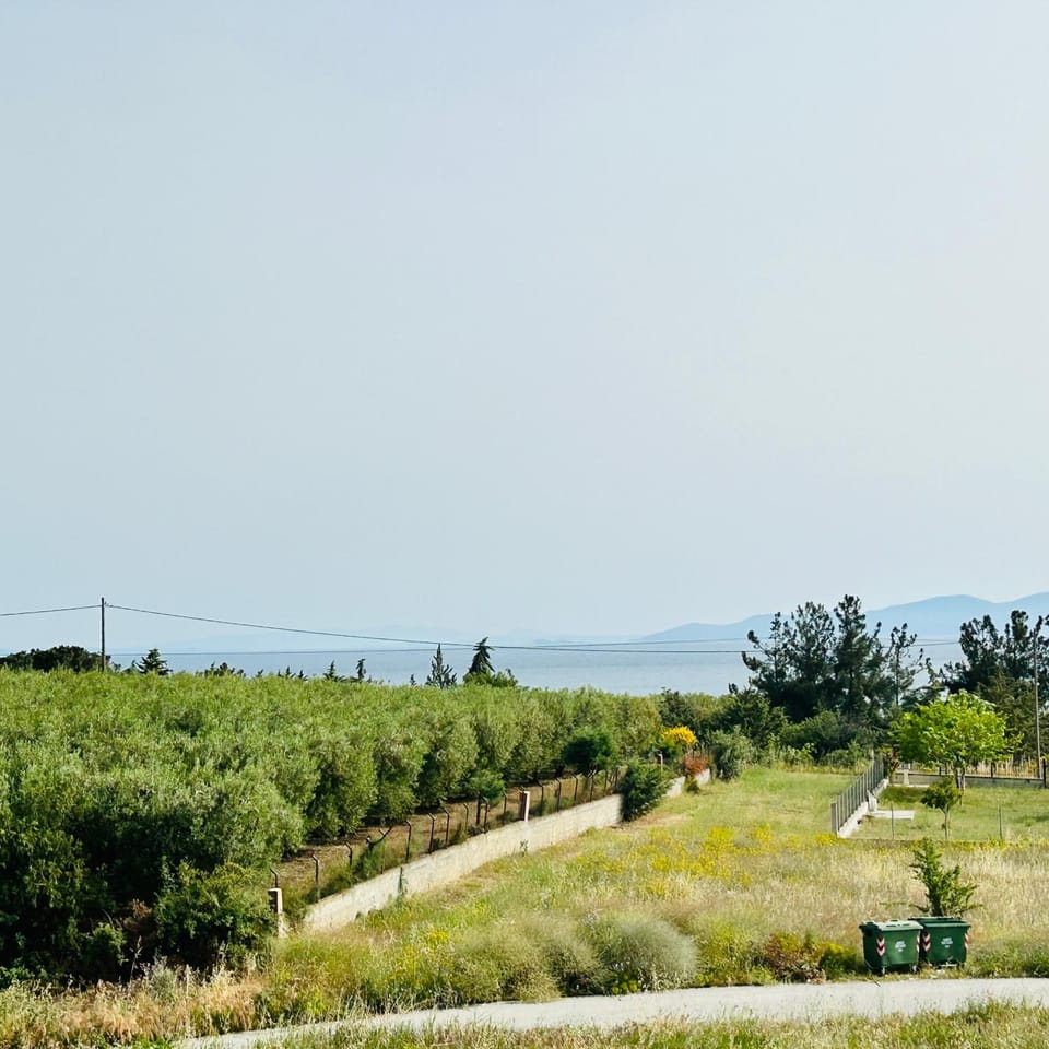 View (from property/room), Balcony/Terrace