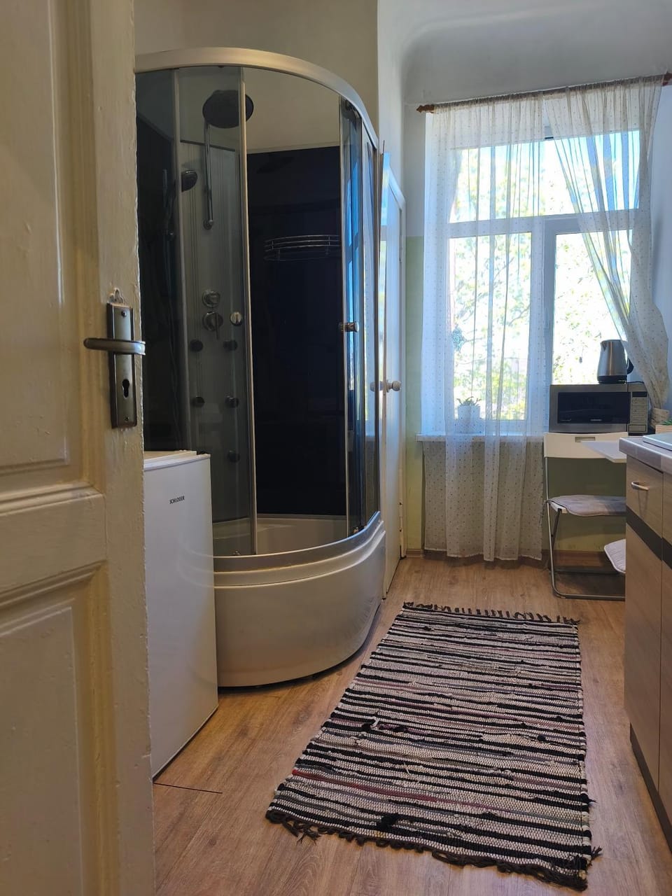 Sunny Studio Apt Next to Park Near Center Apartment in Riga