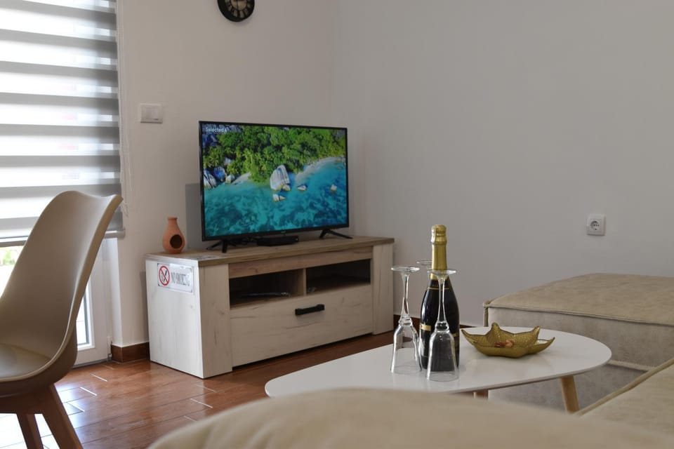 TV and multimedia