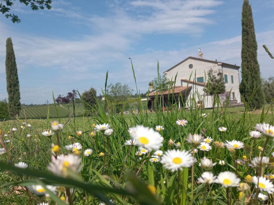 Ettaro Verde studio apartment for holidays Apartment in Emilia-Romagna
