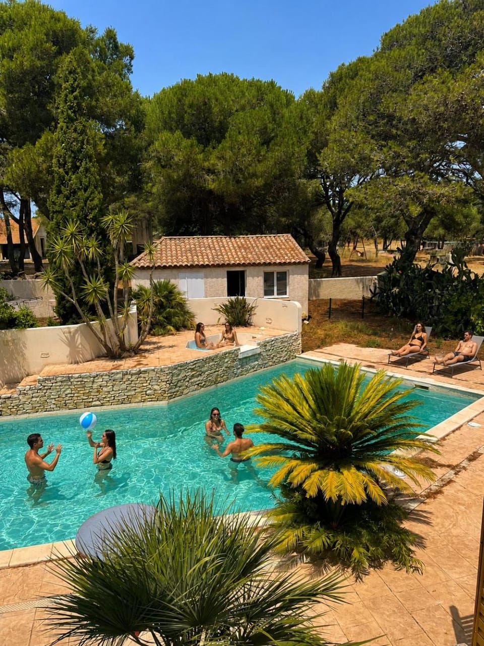 Day, Natural landscape, Garden, Pool view, Swimming pool, children, sunbed