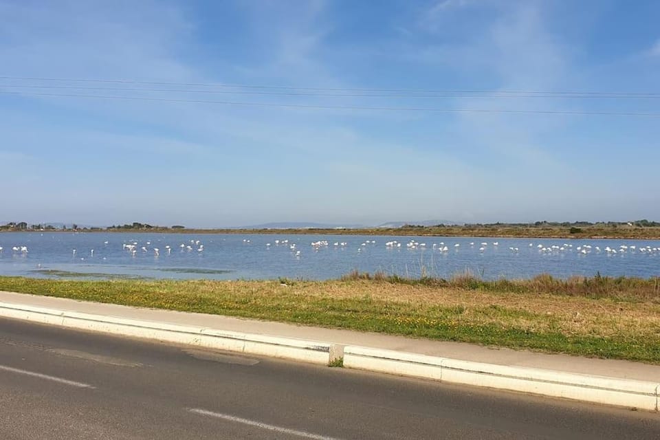 Superbe appartement au cœur du village Apartment in Marseillan