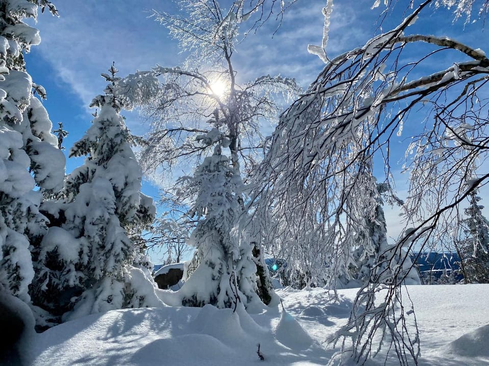 Winter, Hiking