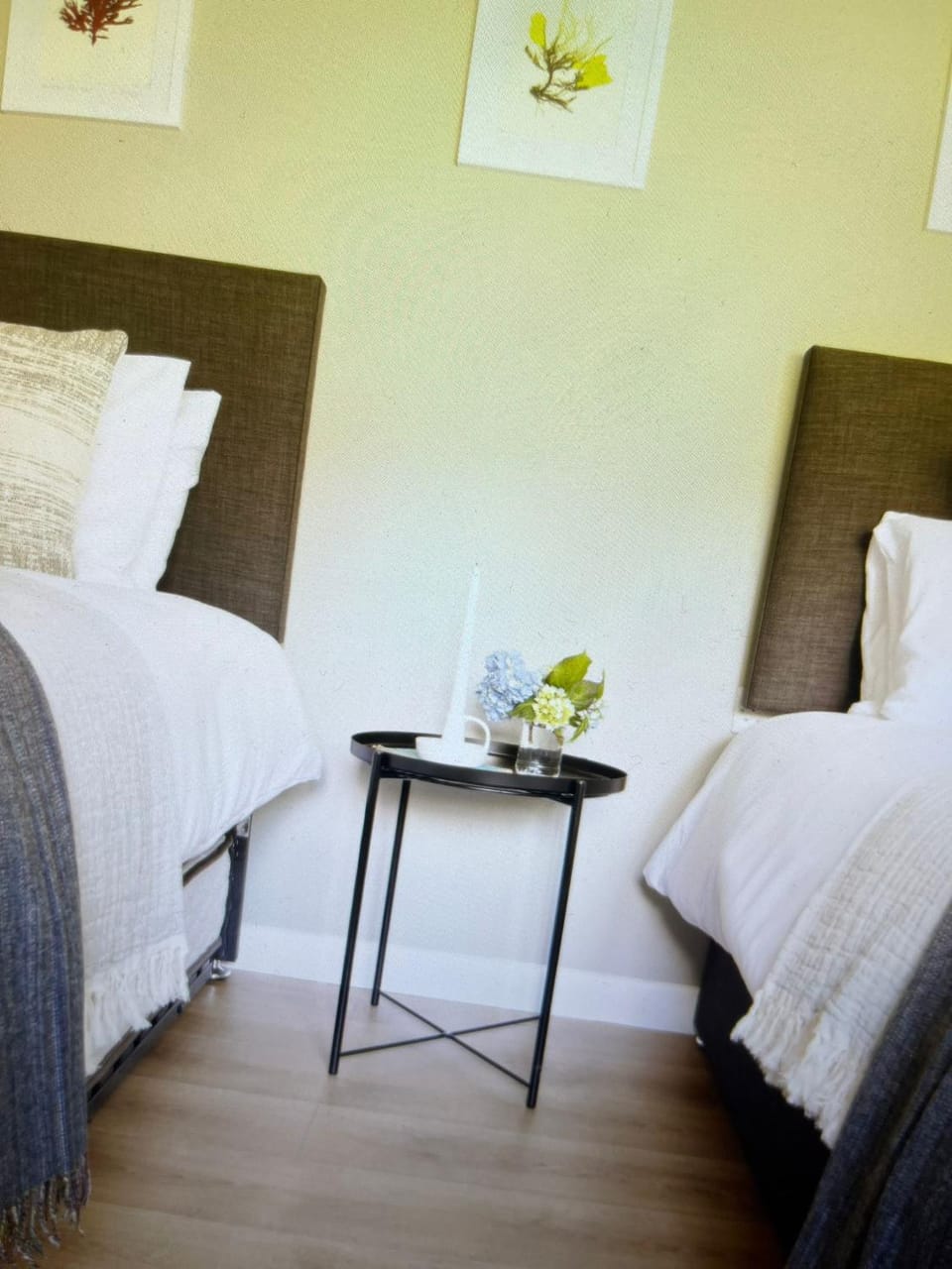Green Isle Bed and Breakfast in County Kerry