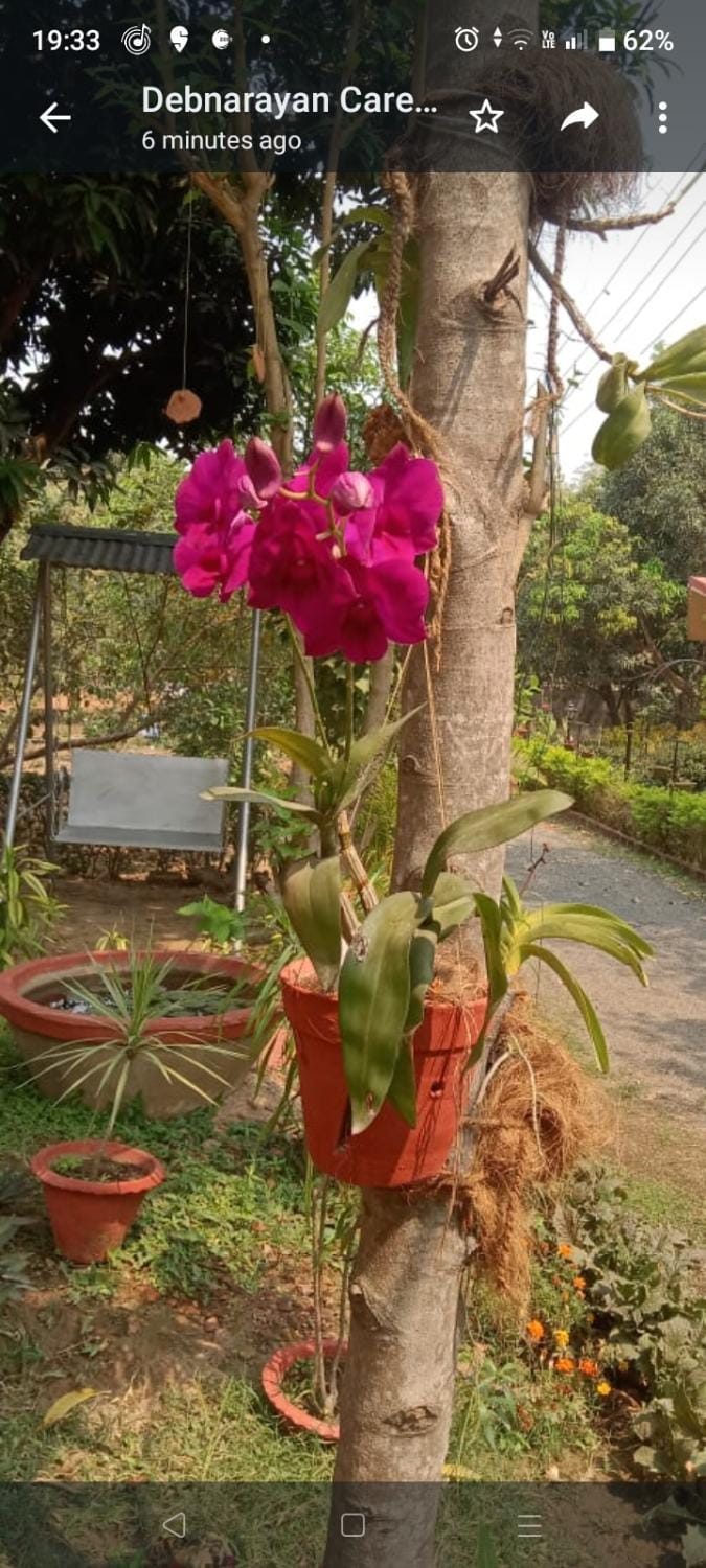 Perch Villa Homestay Villa in West Bengal