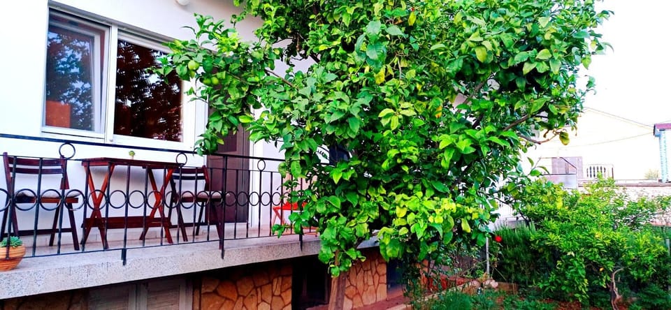 Tija apartment Apartment in Zadar