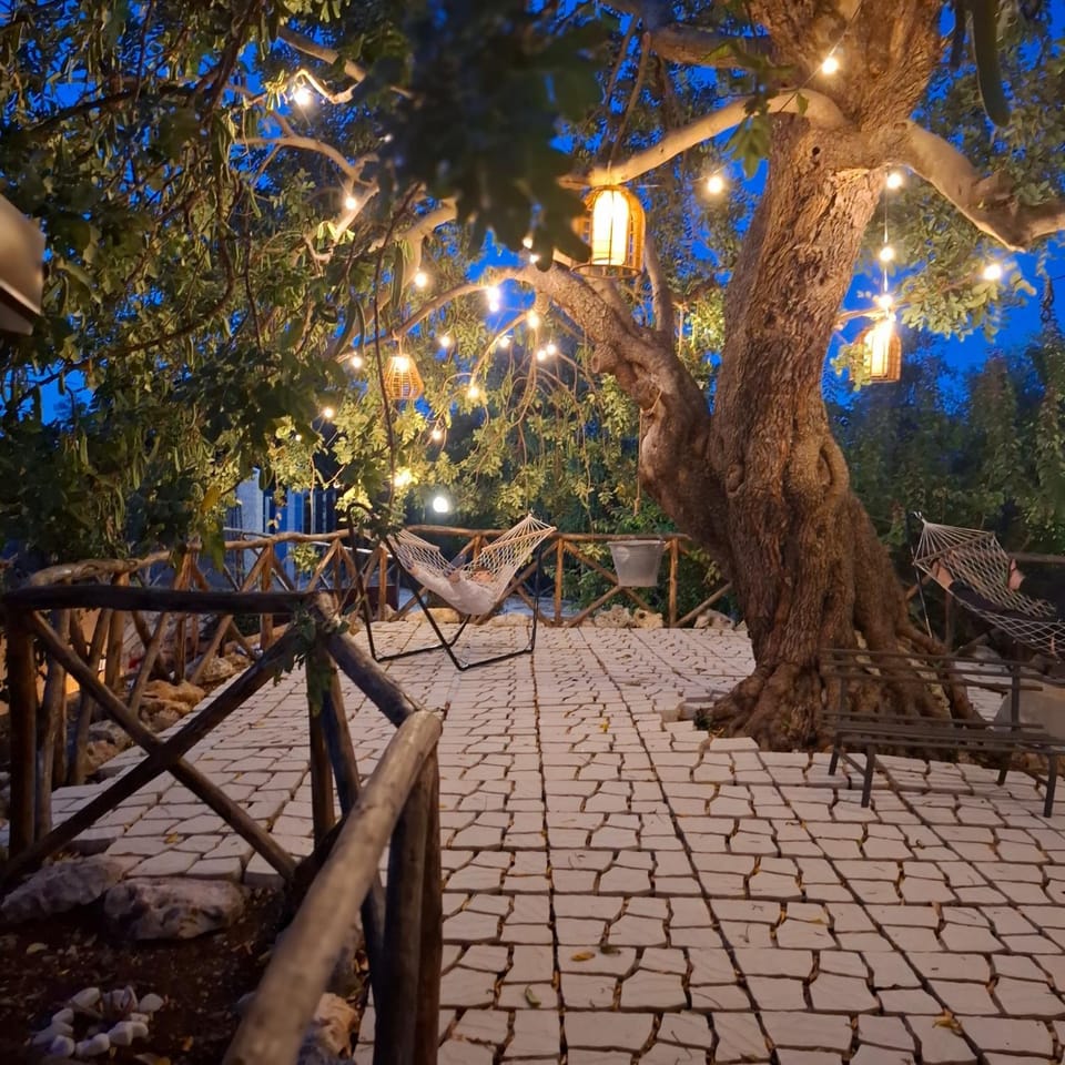 Night, Garden, Garden view