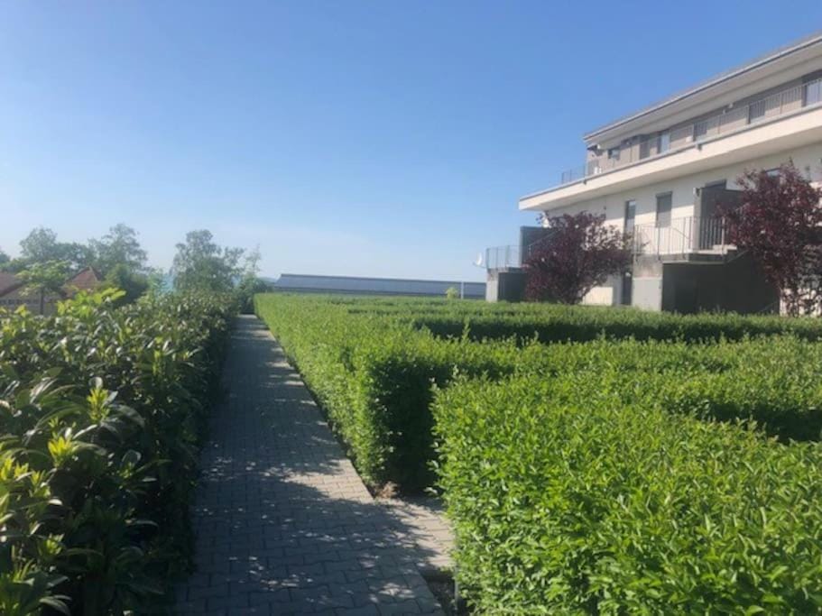 Property building, Day, Garden, Garden view