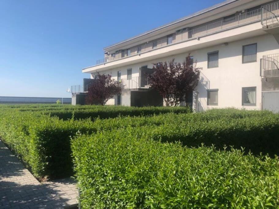 Property building, Garden