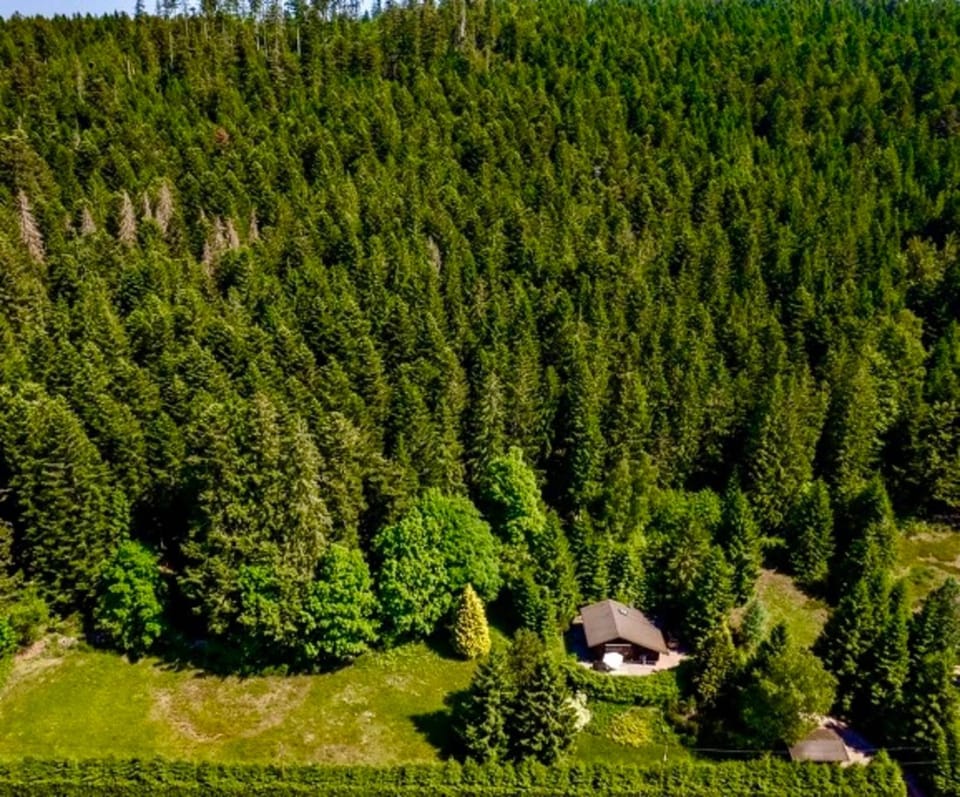 Little Paradise hidden from view Chalet in Gérardmer