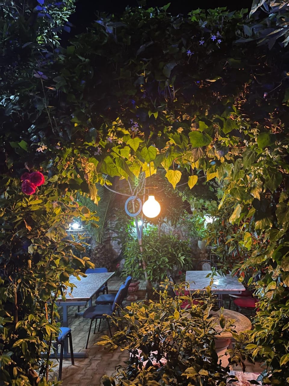 Patio