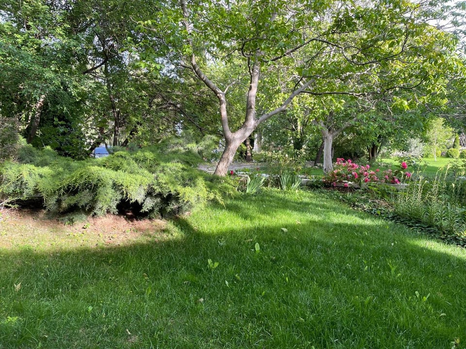 Garden view