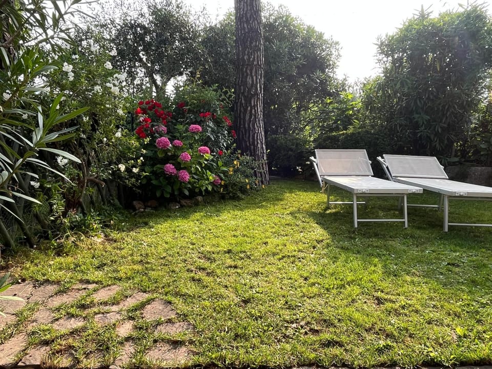 Garden, Animals, Animals, Pets, Pets, Garden view, pet friendly, pet friendly, sunbed