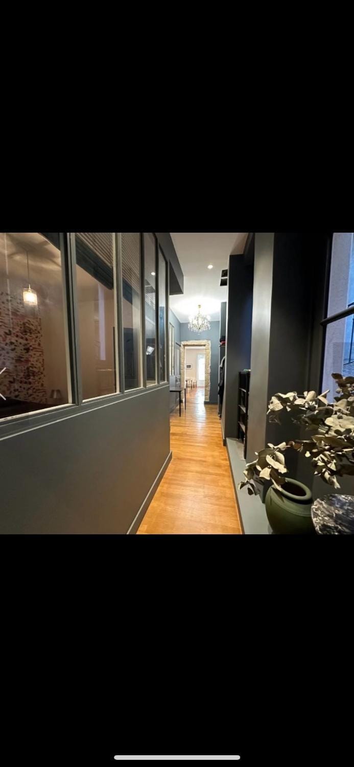 Appartement de caractère 6 pers - hyper centre de Lyon Apartment in Lyon