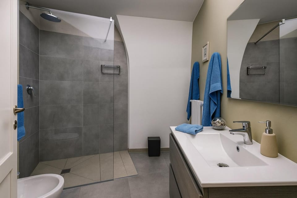 Shower, Toilet, Bathroom, towels