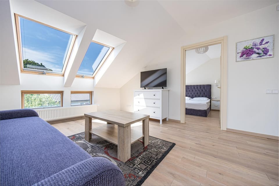 Bed, TV and multimedia, Living room, Photo of the whole room, Seating area, Bedroom