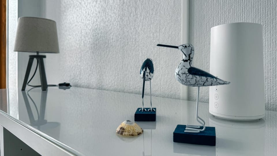 Studio vue mer Apartment in Trévou-Tréguignec