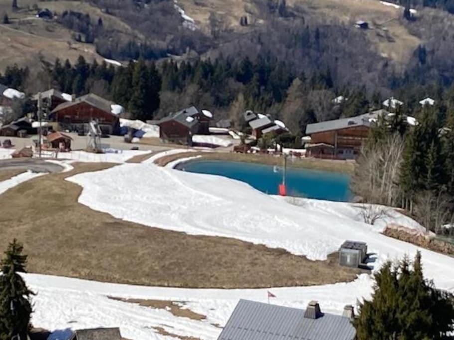 Lake view