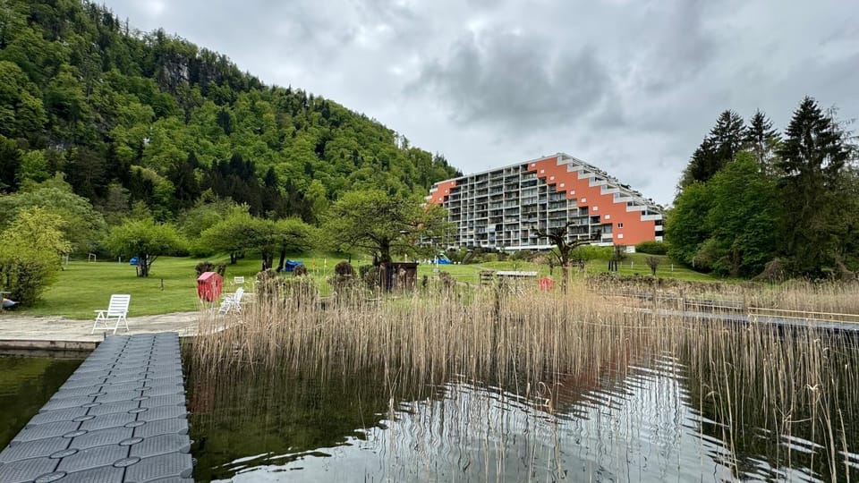 Lake view