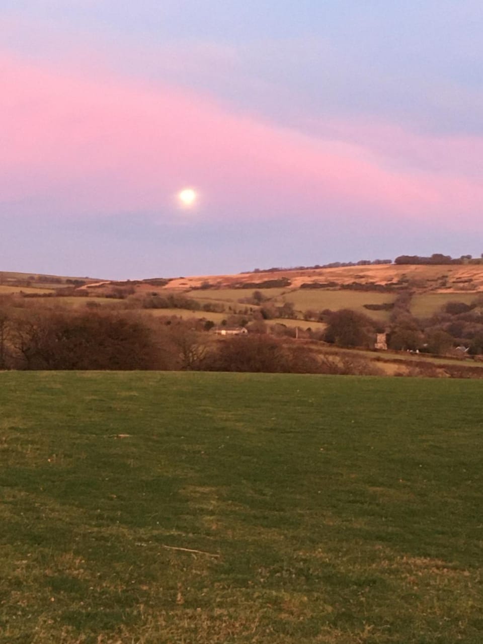 Natural landscape