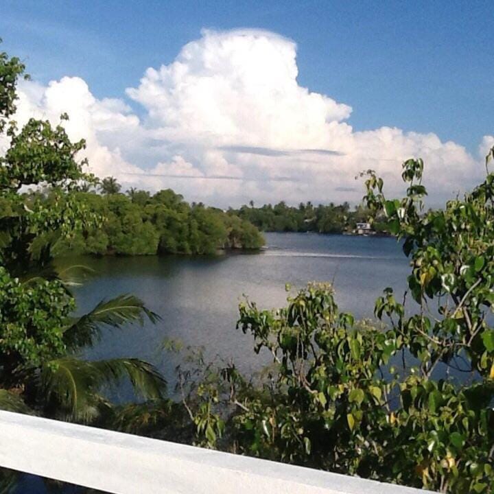 Natural landscape