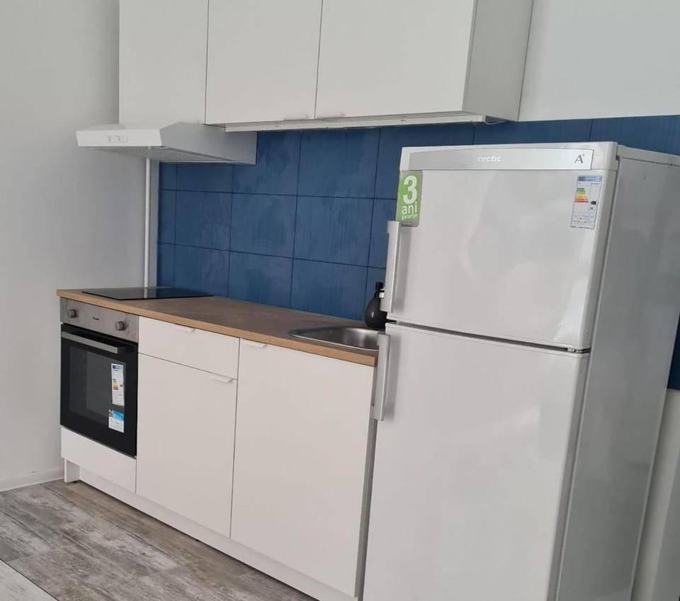 Blue Condo Otopeni Apartment in Romania