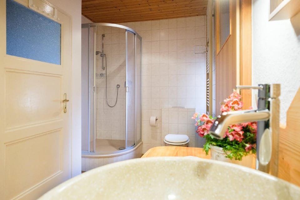 Bathroom, Living room