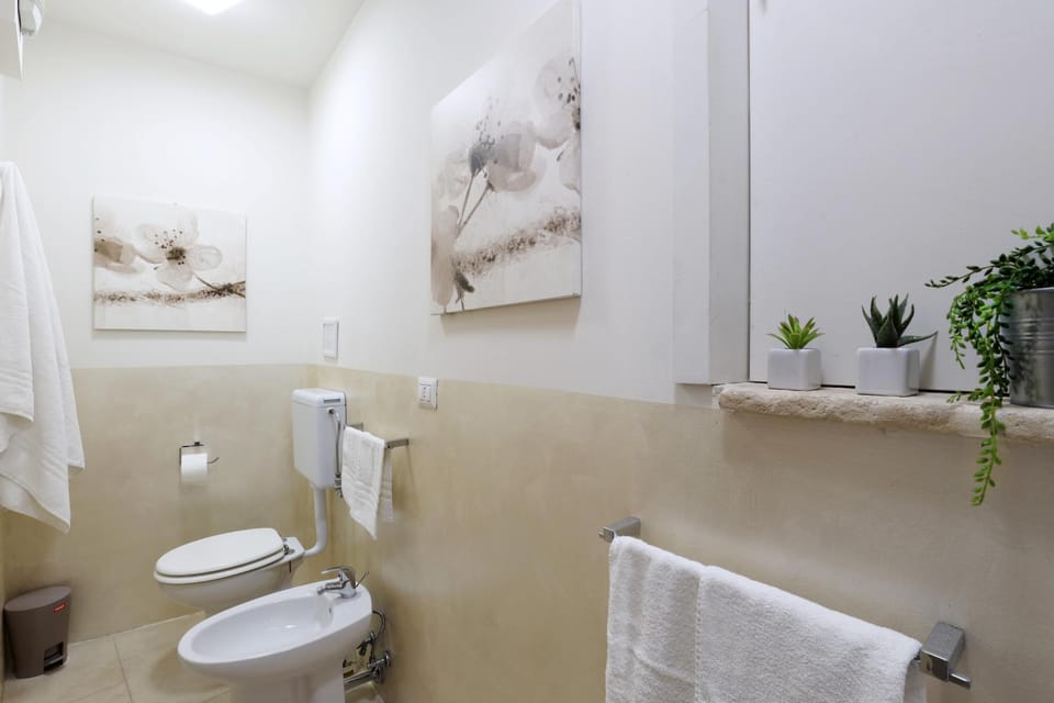 Bathroom, bidet, towels