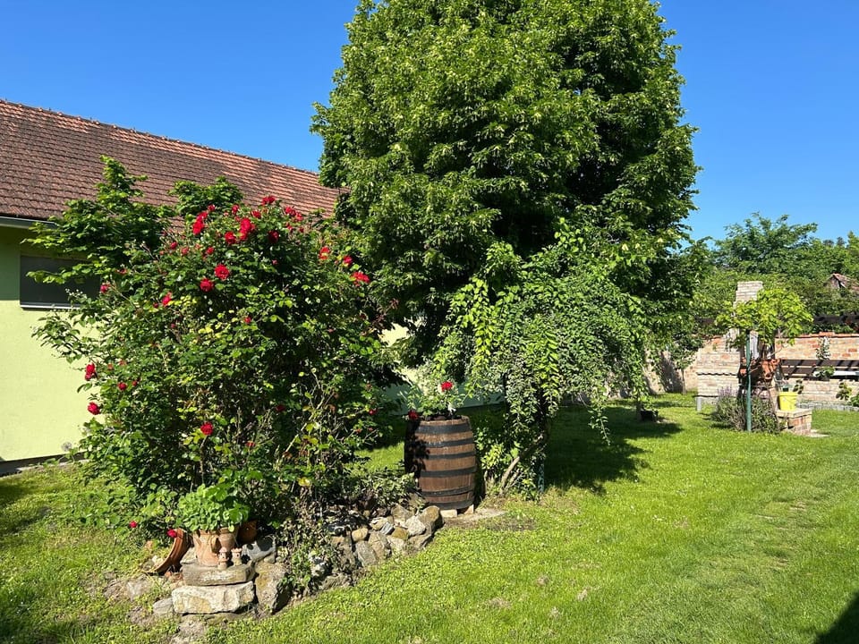 Apartman Maša Apartment in Timiș County