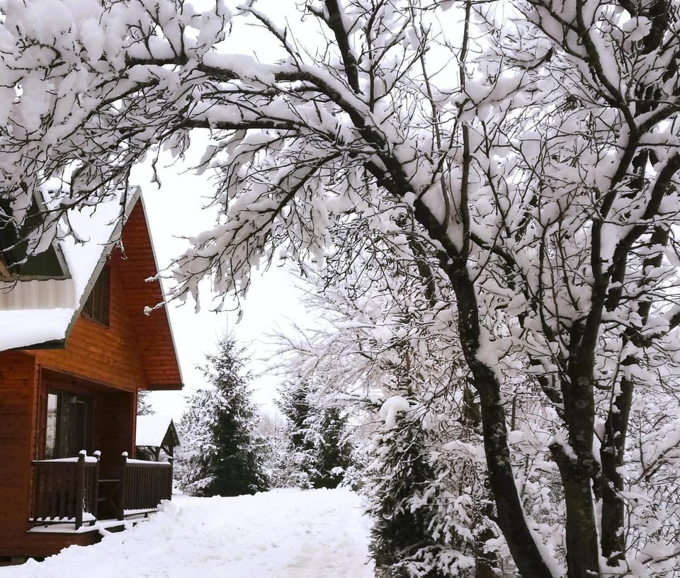 Property building, Winter, Garden, Garden view