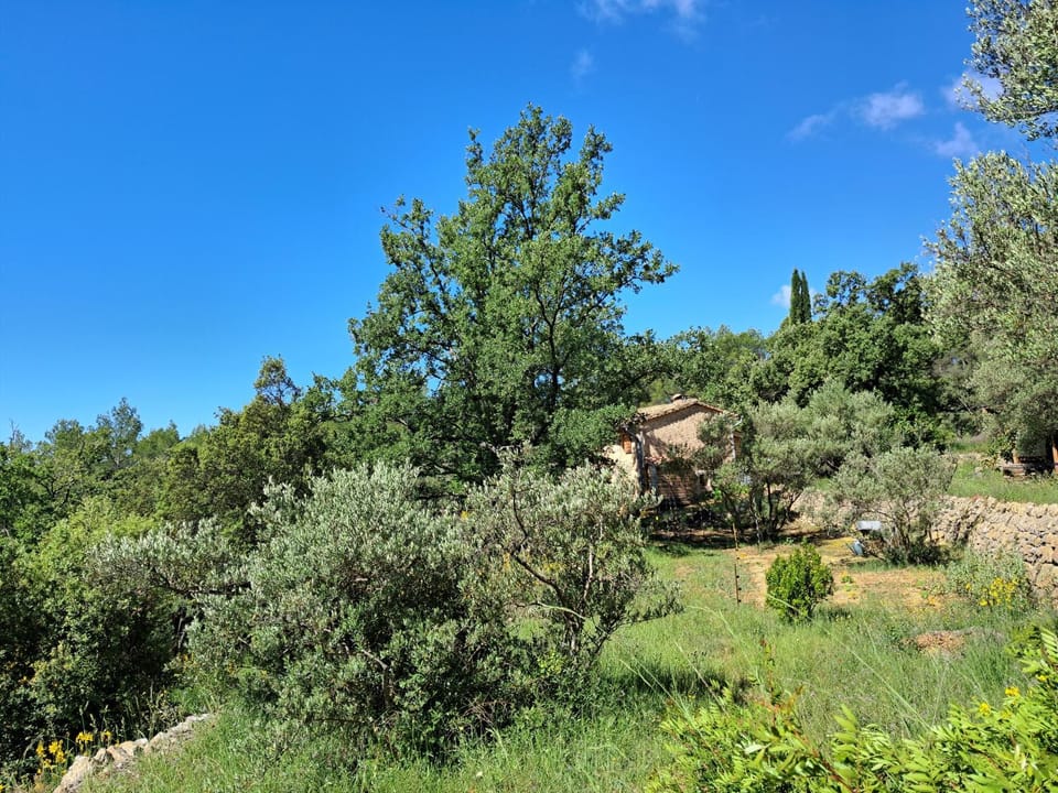 Bastidon provençal off-grid Vacation rental in Salernes