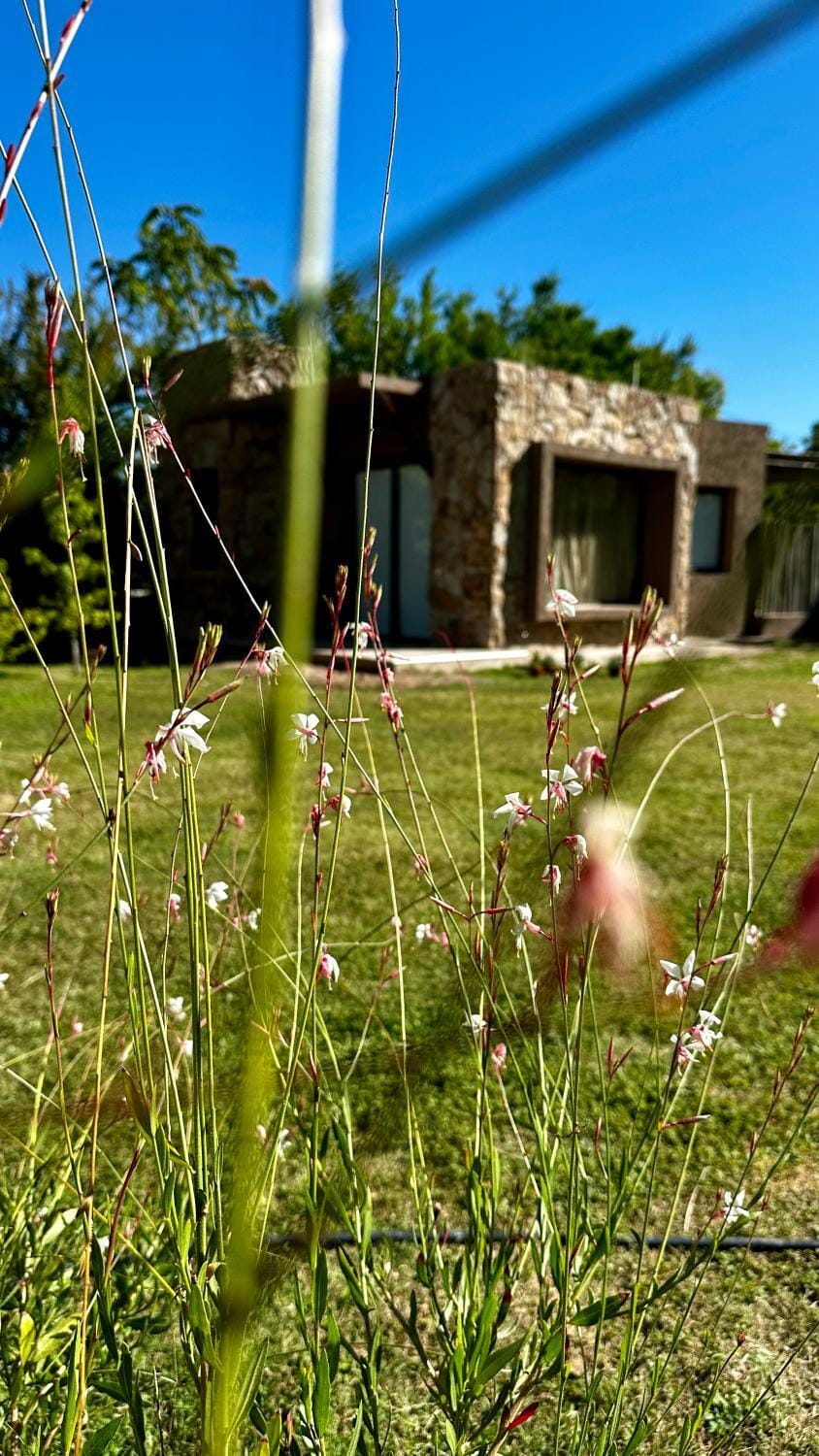 Tiny House Chacras House in Luján de Cuyo