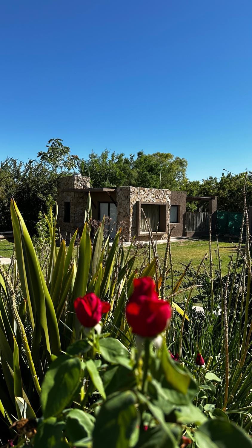 Tiny House Chacras House in Luján de Cuyo