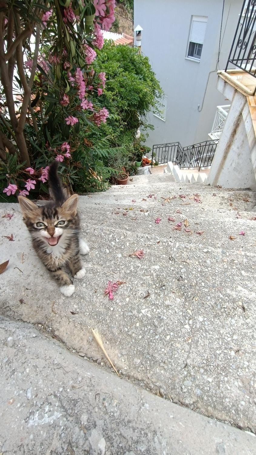 Property building, acessibility