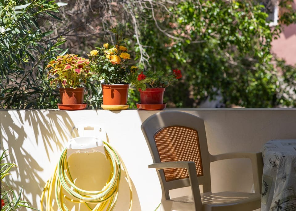 Patio, Garden view