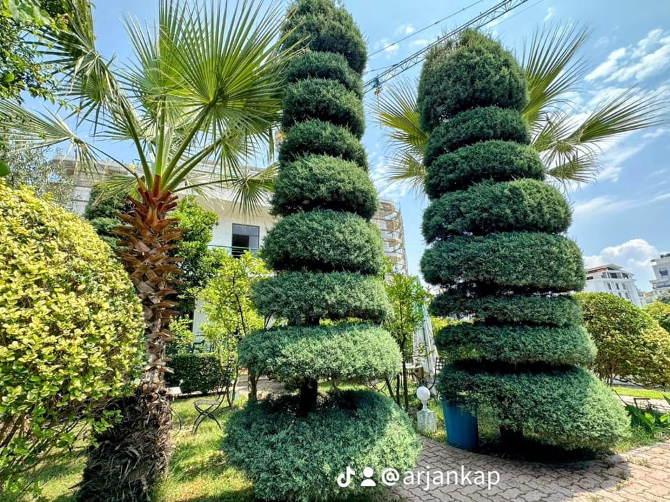 Garden, Garden view