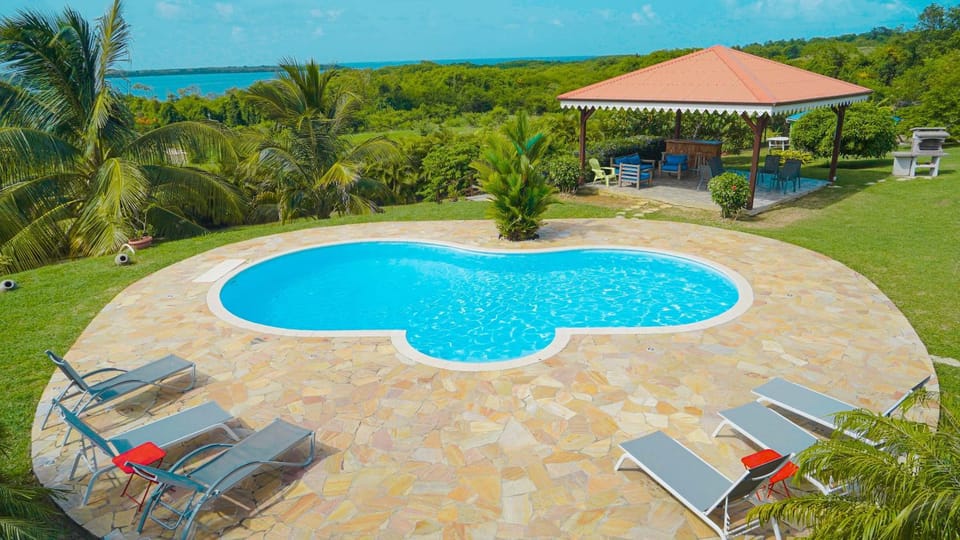 Patio, Spring, Day, Garden, Garden view, Pool view, Sea view, Swimming pool, sunbed